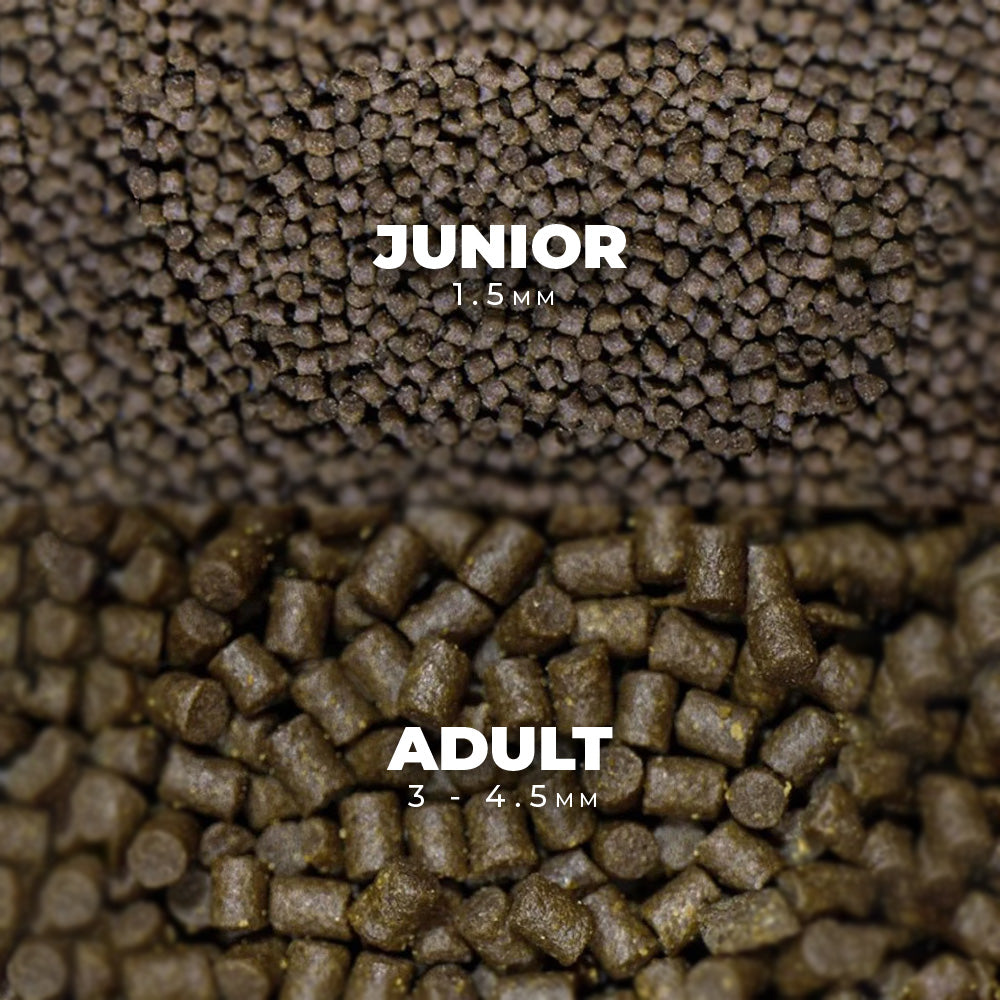 NT Labs Pro-f Axolotl Pellet