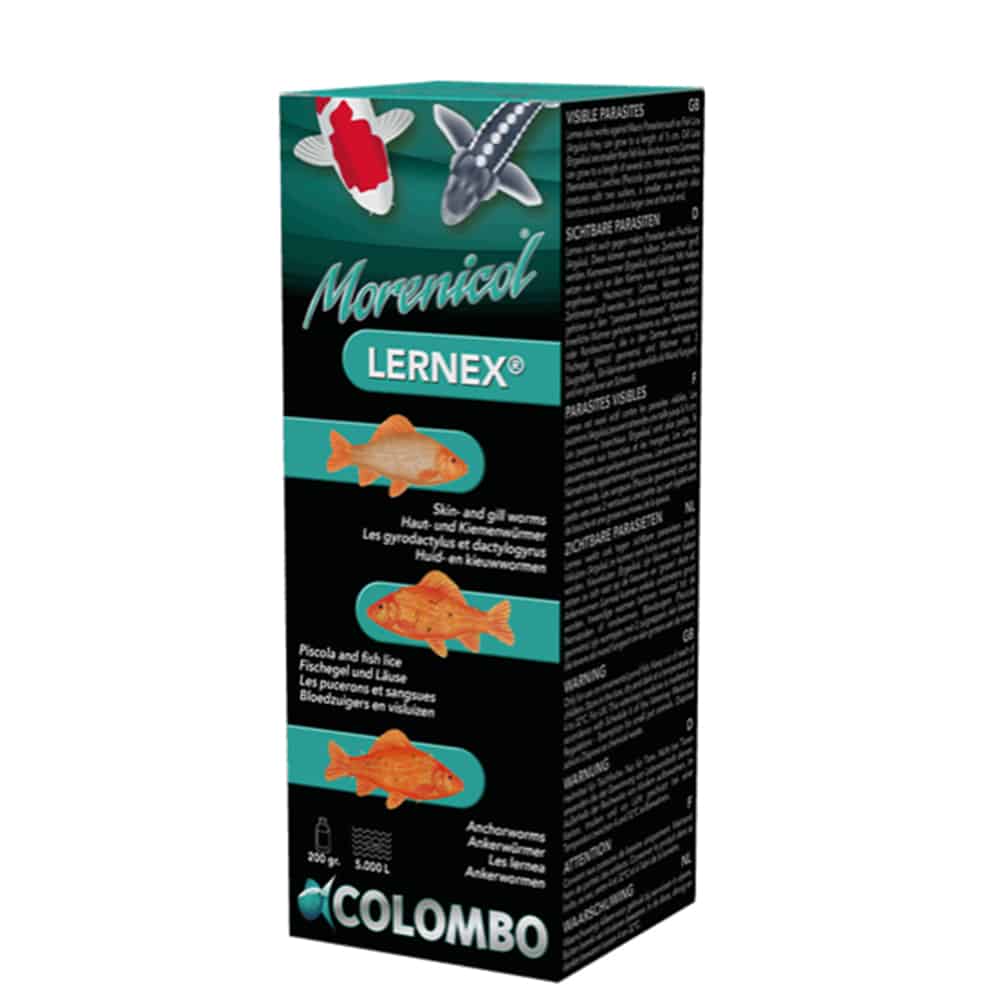 Colombo Lernex